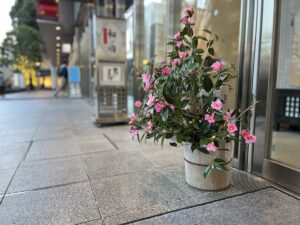 きものサロン和の國